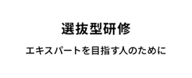 選抜型研修 エキスパートを目指す人のために