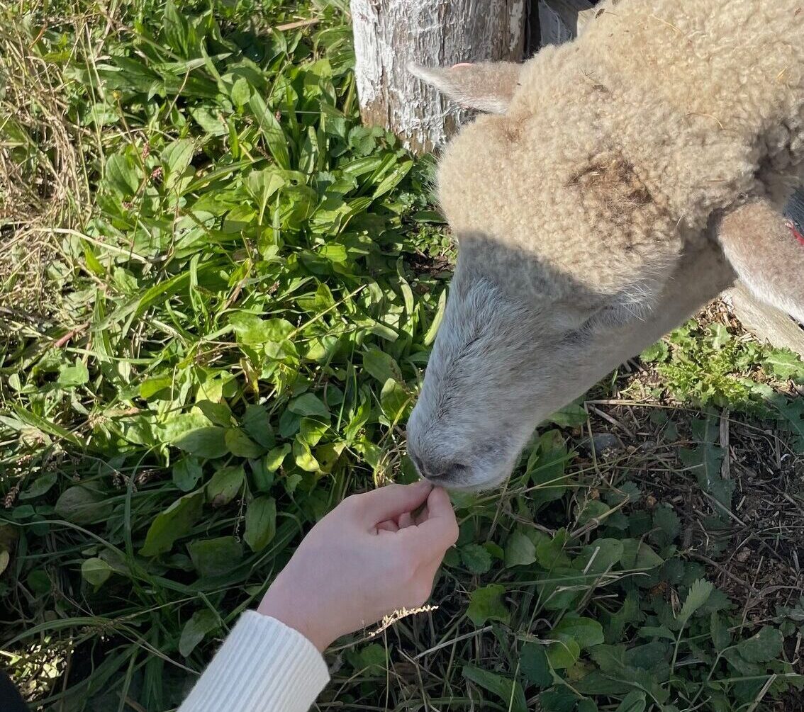 未知の世界へのチャレンジ