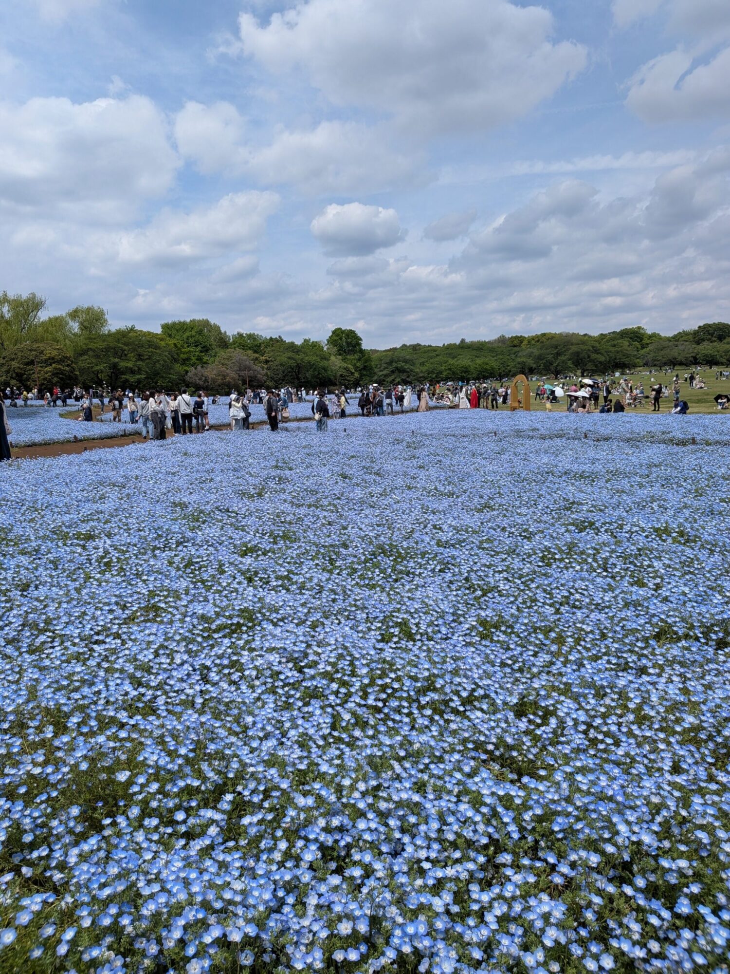 未知の世界へのチャレンジ
