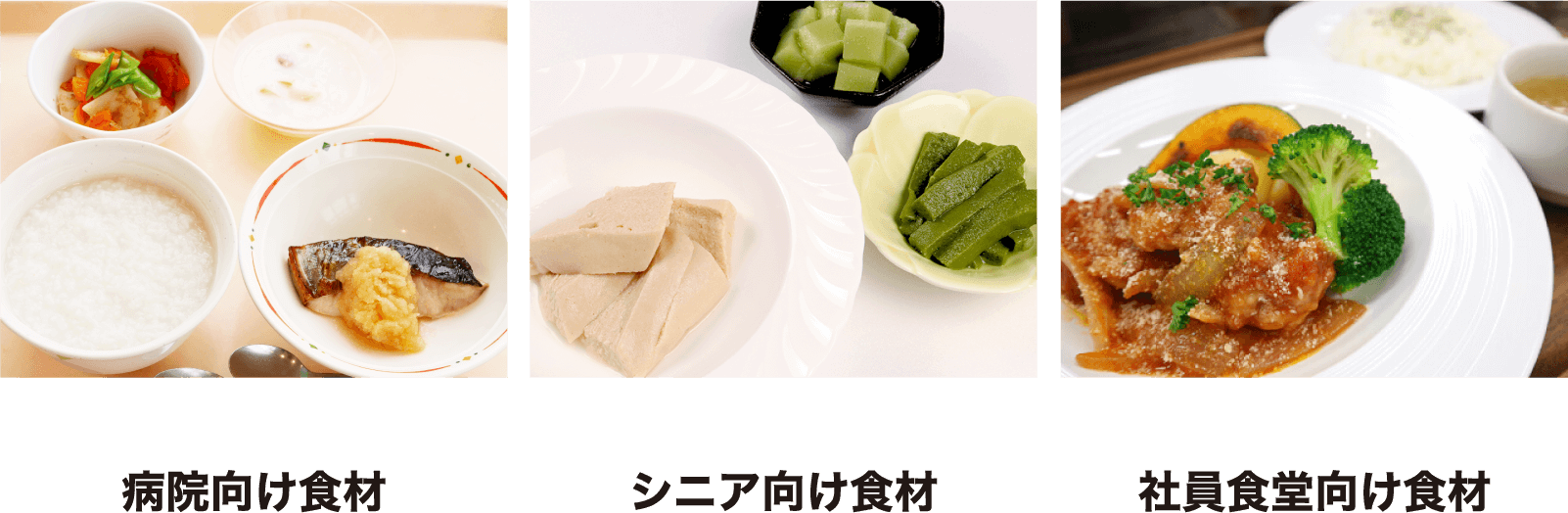 病院向け食材　シニア向け食材　社員食堂向け食材