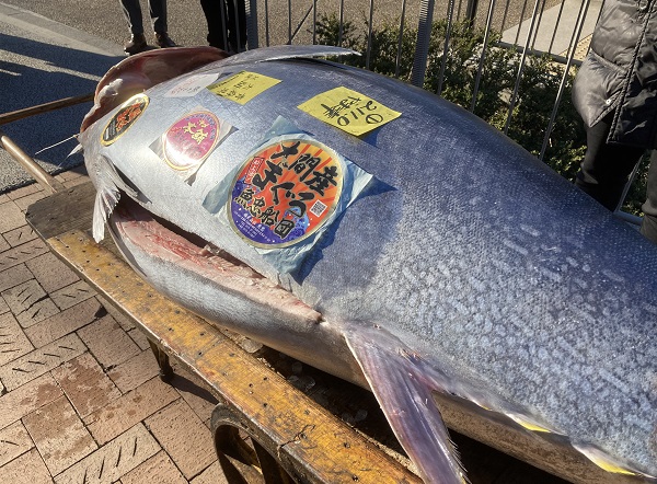 【メディア掲載】TBS「サンデー・ジャポン」にマグロ初競りの様子が紹介