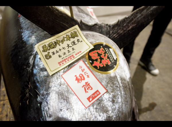 「時事ドットコム」に豊洲市場マグロ初競り関連記事が掲載