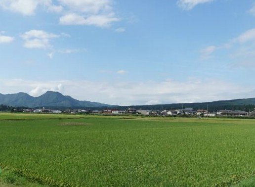 地球にやさしい食材を！食農連携「LEOCと新潟県関川村のお米農家」 LEOC、首都圏5ヶ所の社員食堂にて「環境配慮米」を期間限定で導入開始！