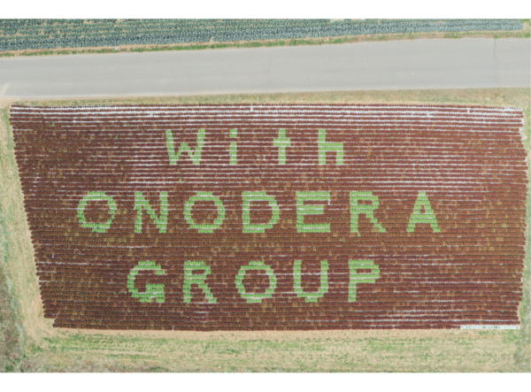 LEOC×トップリバー 生産者と共に農業の未来を描く6回目の「レタスアート」開催！