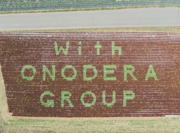 「LCV ニュース＋アイ」で「レタスアート」が紹介